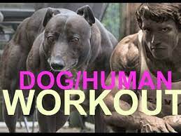 dog workout calisthenics no weights