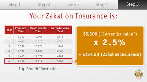 Guide To Zakat On Insurance Calculation