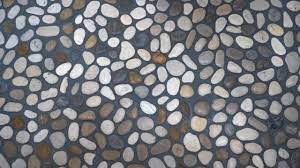 to clean a pebble stone shower floor