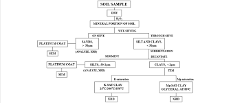 Flow Chart Of The Procedures Used To Prepare Samples For