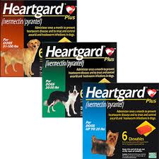 Heartgard Plus For Dogs Free Shipping 49 1800petmeds