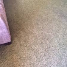 aa carpet cleaning 61 photos 23