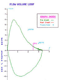 Expert Peak Expiratory Flow Rate Chart Peak Expiratory Flow