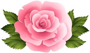 Pink Rose ClipArt PNG Image​ | Gallery ...
