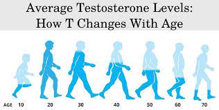 normal testosterone levels by age