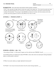 Gizmo answer key activity a meiosis gizmo answer key pdf shows what number of misconceptions can be found. Gozmo Osmosis Worksheet Printable Worksheets And Activities For Teachers Parents Tutors And Homeschool Families