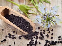 Ibri sina, the persian physician and philosopher, discussed black cumin seed in the text canon of medicine, considered a hallmark publication in the. Kalonji Weight Loss Benefits And Side Effects