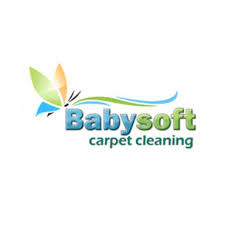 19 best ta carpet cleaners