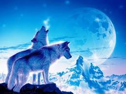 Image result for animals in the sky