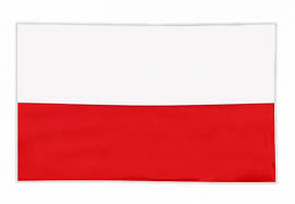 Flaga Polska Gładka 60x90cm - cena, sklep sportowy ReAn