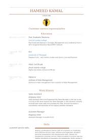 The     best Sales resume ideas on Pinterest   Business resume     Sales Representative Resume