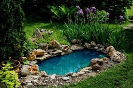 how to make your pond water blue
