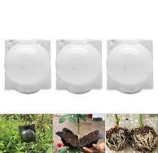 qwe 3 delar återanvändbar växt rotningsanordning, högtrycksbox ympning växt  förökningsboll, effektiv assexuell reproduktionsutrustning för inomhus och  utomhus Small Vitt : Amazon.se: Trädgård
