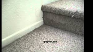 cat damages stair carpeting stairway