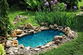 Nature Back To Your Garden With A Pond
