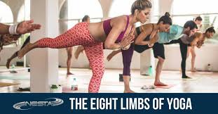 the eight limbs of yoga yoga