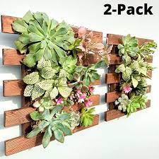 Wooden Hanging Succulent Wall Decor