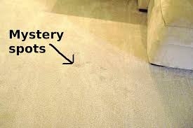 how i clean my carpets plus pro tips