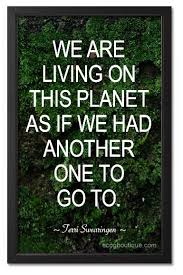 Image result for earth quotations