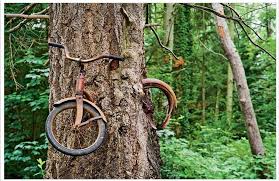 Image result for bike stuck in a tree