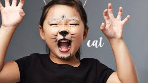 face painting for kids quick cat