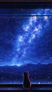 stargazing cat starry stars night sky
