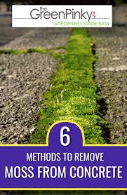 How To Remove Moss From Concrete 6