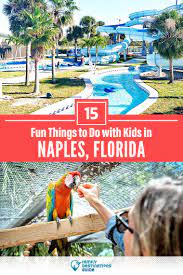 15 fun things to do in naples fl with