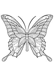 The other option is just to. Butterfly Coloring Pages For Adults Best Coloring Pages For Kids Insect Coloring Pages Butterfly Coloring Page Butterfly Printable