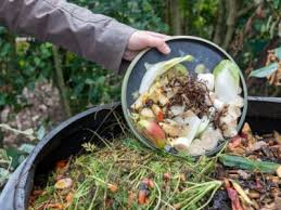 What Is Brown Material For Compost And