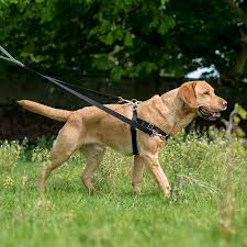 Freedom Harness No Pull Dog Harness Multi Use Velvet Lining