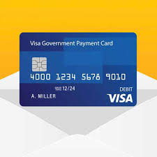 government payment cards visa