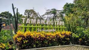 Letak dari kota jember ini terletak pada bagian paling timur dari pulau jawa tentunya sebelum kota banyuwangi. Keindahan Harga Tiket Taman Botani Sukorambi 2021