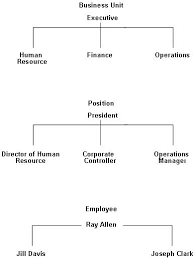 Overview To Organizational Structure