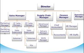 40 Veracious Organization Chart For Distribution Company