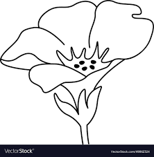 tropical flower outline royalty free