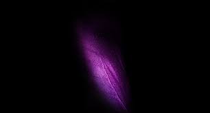 Violet Dark Black Wallpapers ...