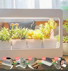 Mg004 Plant Lamp Miniature Home Garden