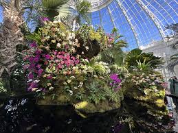 orchid show in nyc guide with 2024 s