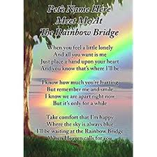 I bought 2 of them, one to give to my niece and her family because their. Cheap Lisa S Gifts Personalised Meet Me At The Rainbow Bridge Dog Cat Pet Memorial Graveside Funeral Poem Keepsake Card Includes Free Ground Stake F397 Price Comparison For Lisa S Gifts Personalised