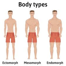 the best endomorph workout and t