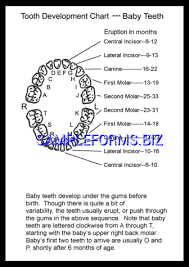 Baby Teeth Chart 3 Pdf Free 1 Pages