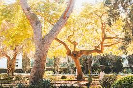visit bahai gardens in haifa israel