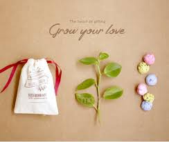 eco friendly favors that you can gift