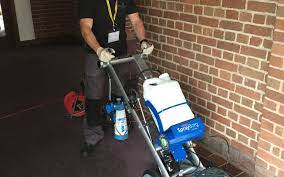 carpet cleaning droitwich