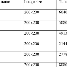 Contains Image Size With Tumor Size In Pixels I E Tumor Area