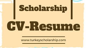 Postal address (if different from above) Cv For Scholarship Resume For Scholarship Turkey Scholarships