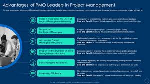 pmo leaders in project management