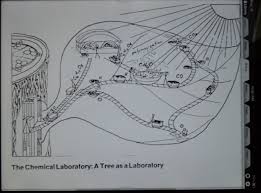 What Did We Do All Day The Chemical Laboratory Tree As