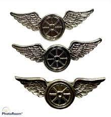 3 police motorcycle officer winged